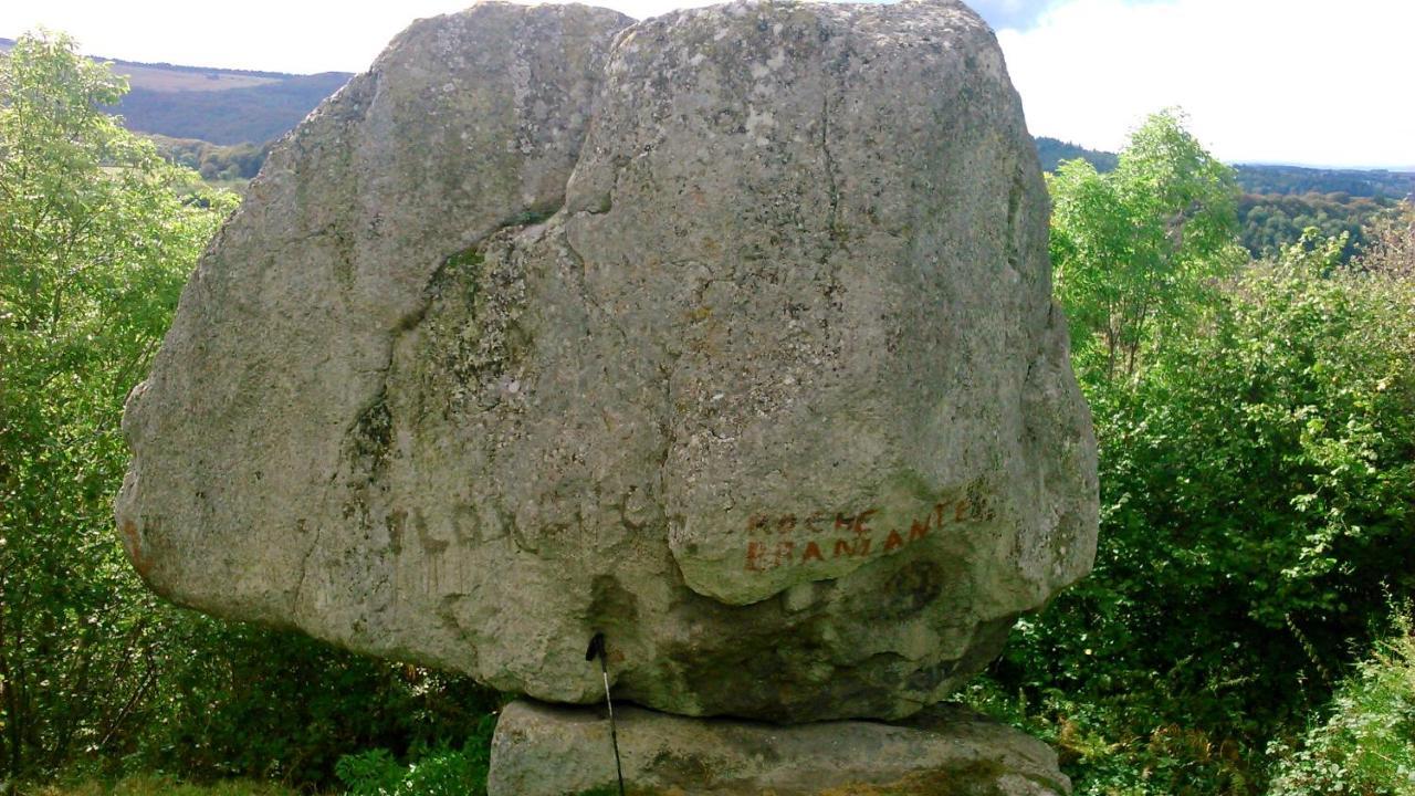 Lilas, Gite Saint Antoine, Orcival, Entre Sancy Et Volcans. Buitenkant foto